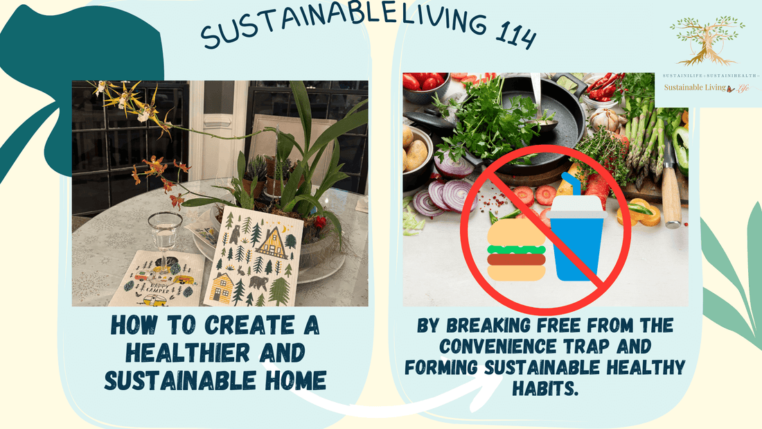 Break free and convenience : A family journey to sustainable and healthier living