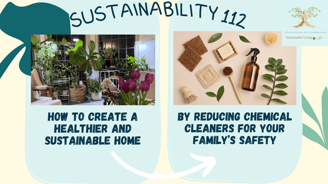 Sustainable and Healthier Home by remove cleaning chemical