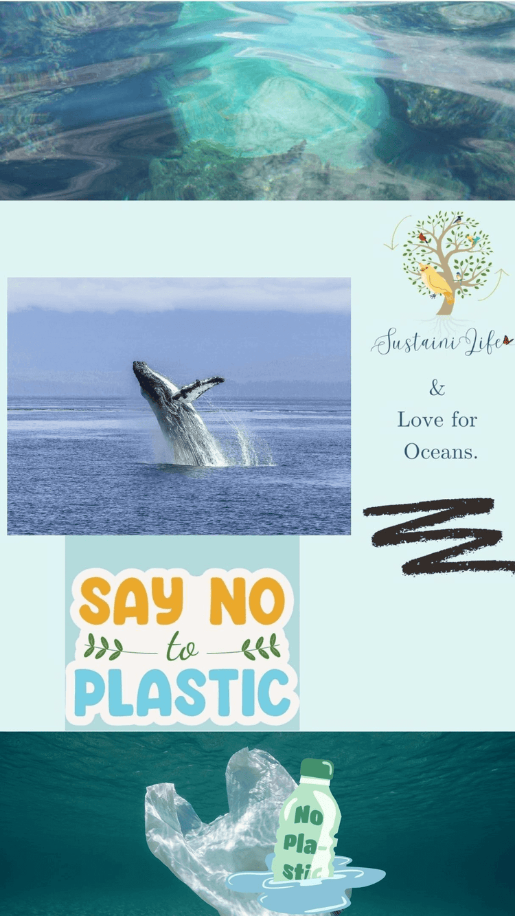 SustainiLife and Love for Oceans