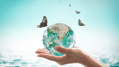 Hand holding a globe with butterflies flying, symbolizing sustainable living and environmental care.