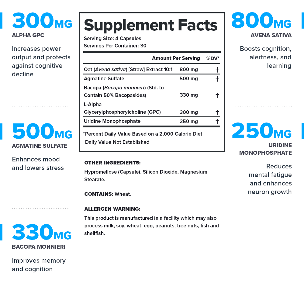 Legion Ascend Nootropic Supplement
