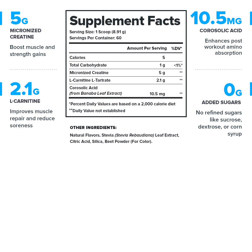 Legion Recharge Post-Workout Recovery Supplement (with Creatine)