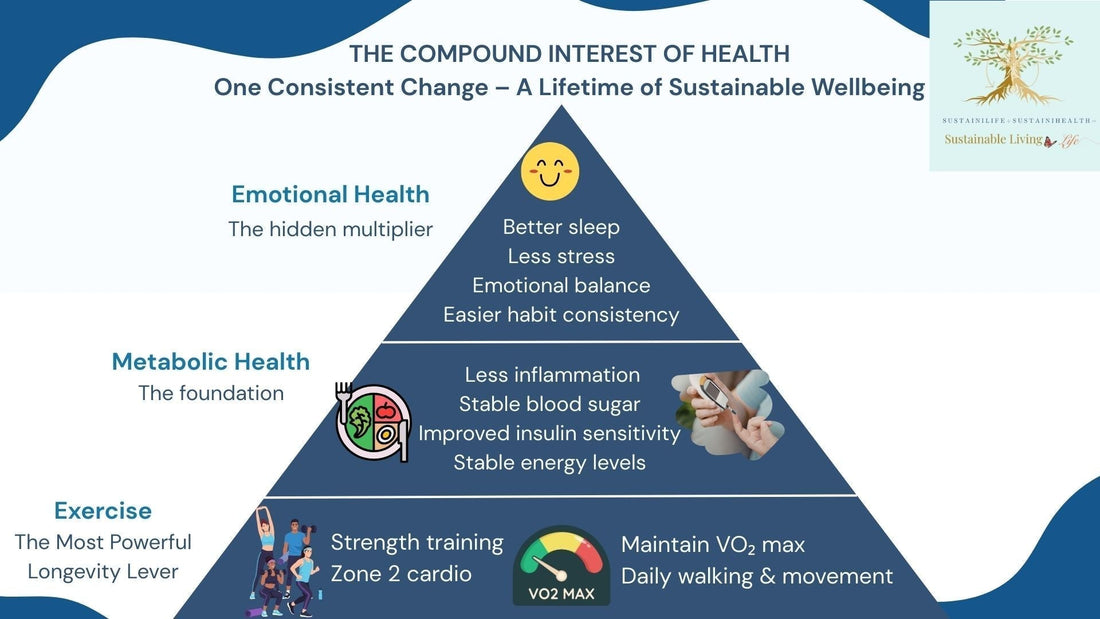 The Compound Interest of Health: How One Consistent Change Builds a Lifetime of Sustainable Wellbeing