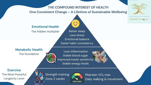 The Compound Interest of Health: How One Consistent Change Builds a Lifetime of Sustainable Wellbeing