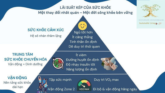 Lãi suất kép của sức khỏe: Cách một thay đổi nhất quán tạo nên cả đời sống khỏe mạnh bền vững
