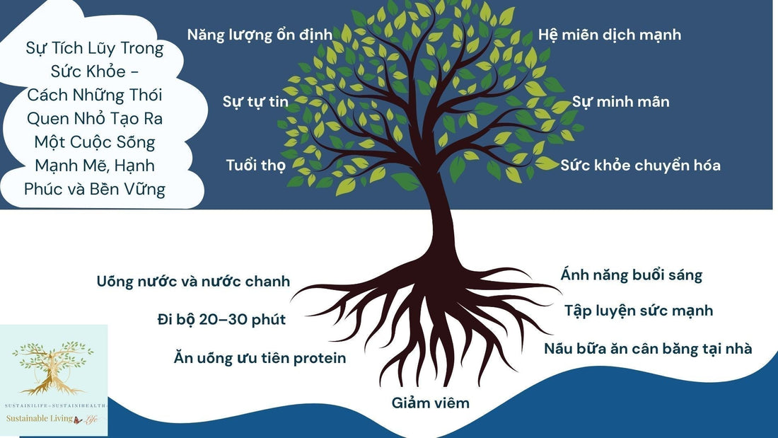 Những thói quen nhỏ tạo nên một cuộc sống mạnh mẽ, hạnh phúc và bền vững như thế nào?
