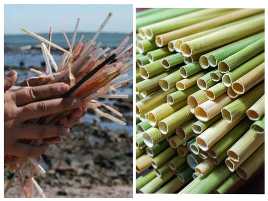 Hands holding plastic straws on the left, eco-friendly bamboo straws on the right, promoting sustainable living.