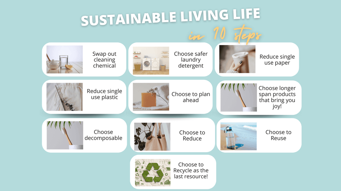 Infographic on sustainable living tips: 10 steps for eco-friendly choices and reducing waste.