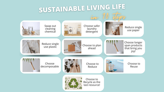 Infographic on sustainable living tips: 10 steps for eco-friendly choices and reducing waste.