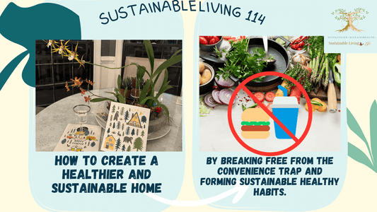 Break free and convenience : A family journey to sustainable and healthier living