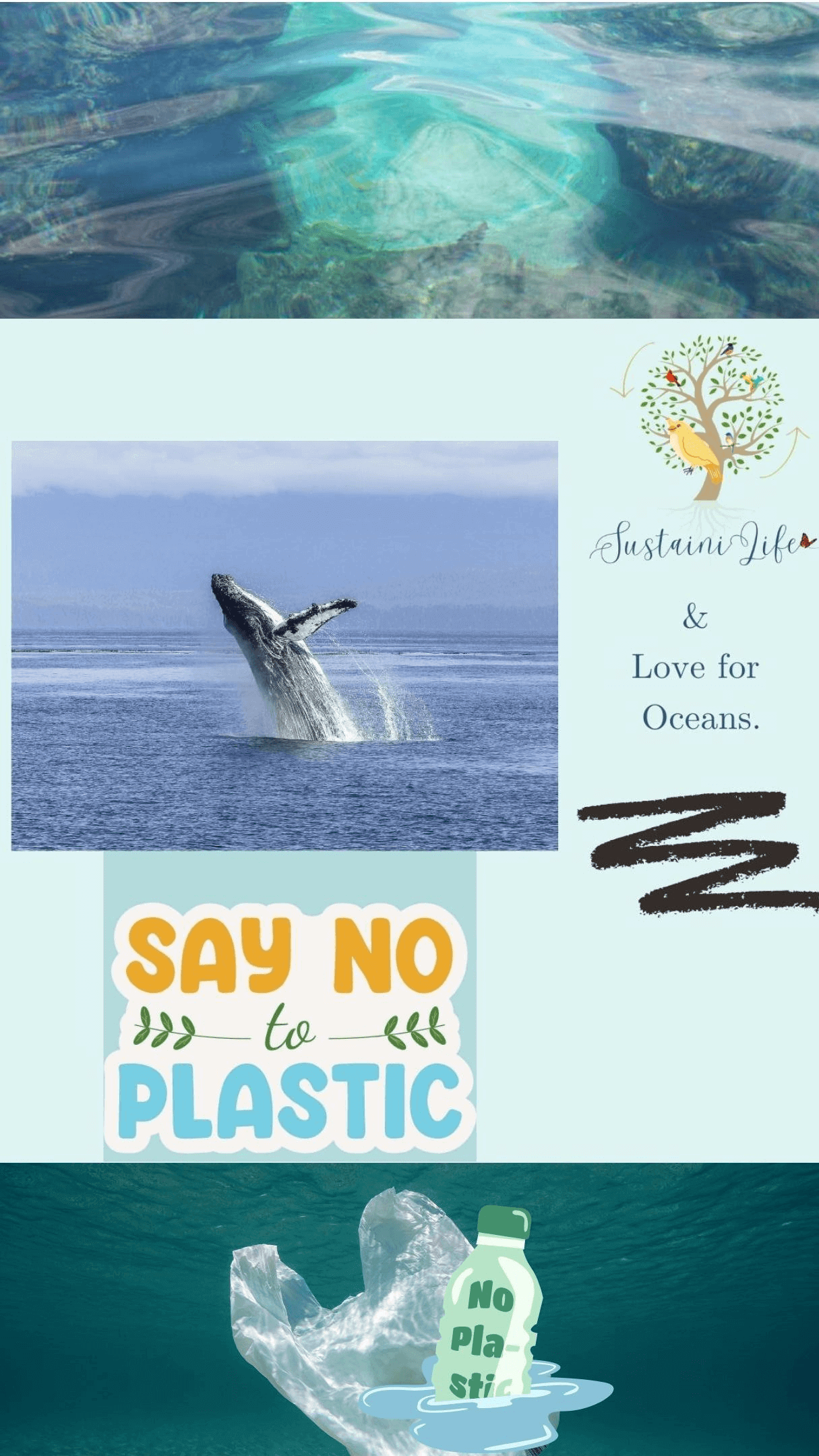 SustainiLife and Love for Oceans