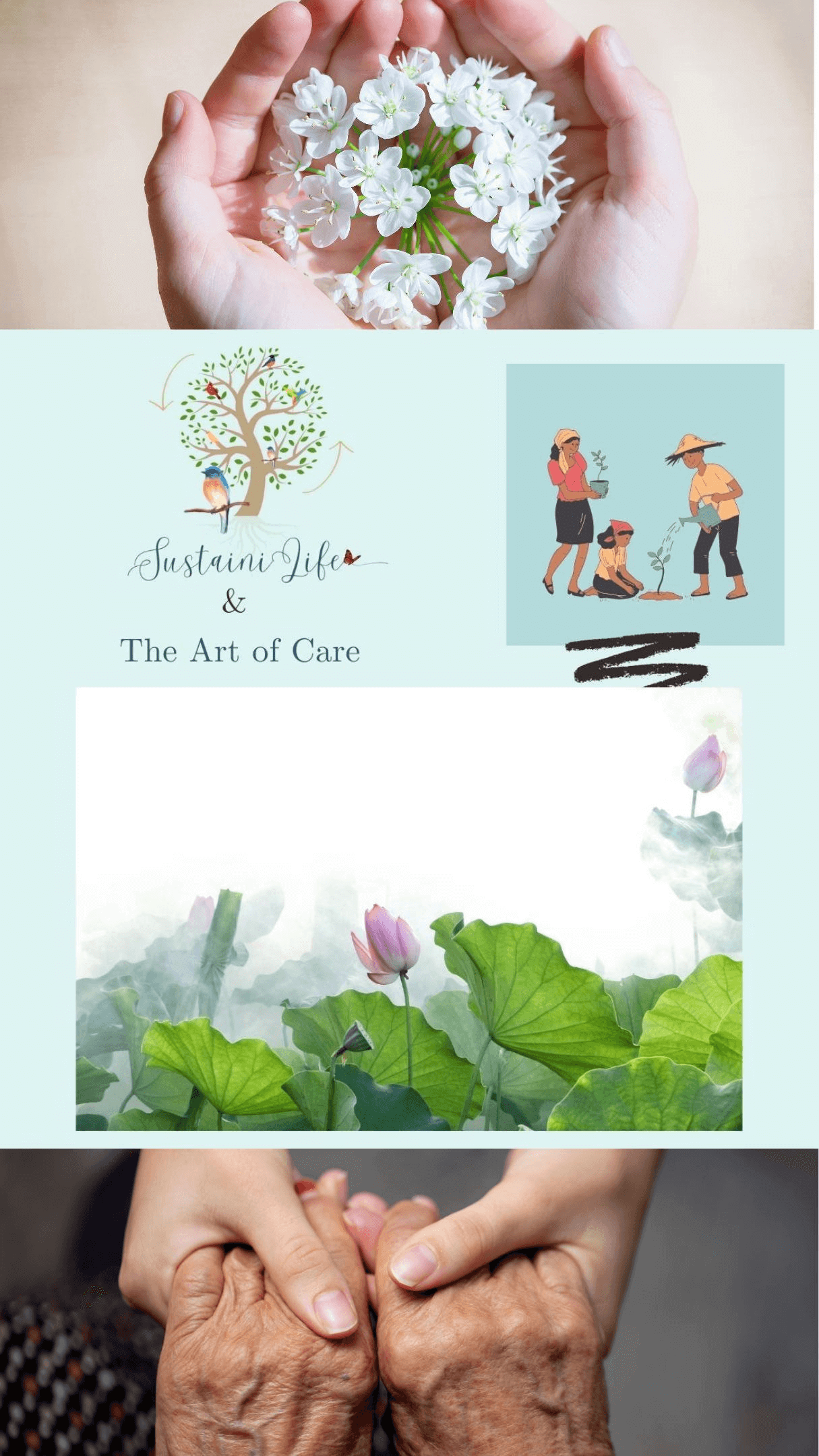 Sustainability collection image featuring hands, flowers, and care-focused artwork.