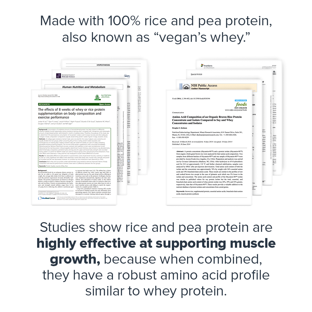 Legion Plant+ Vegan Plant-Based Protein Powder ( Dutch Chocolate)