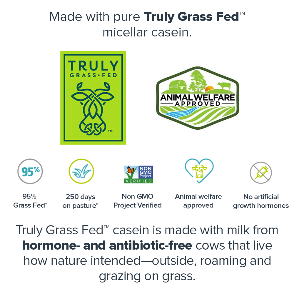 Legion Casein Protein Powder -25 servings